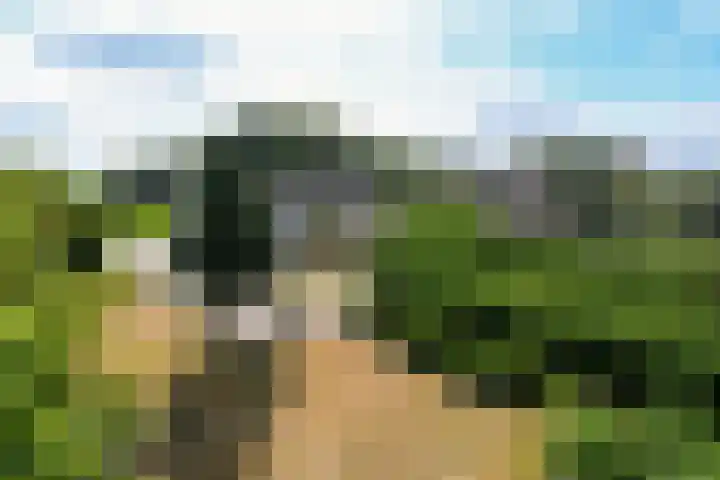 Ninnesweg 69 Panningen thumbnail 47