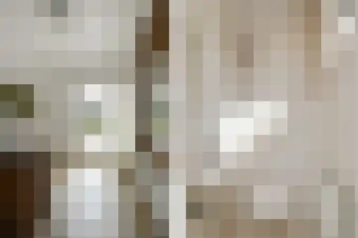 Ninnesweg 69 Panningen thumbnail 6
