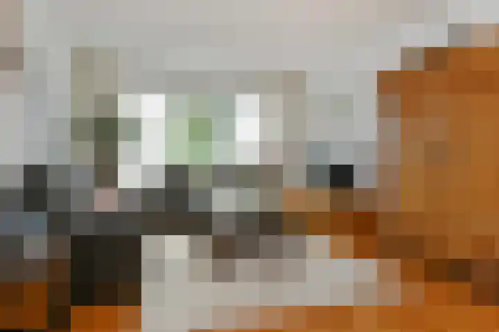 Ninnesweg 69 Panningen thumbnail 7