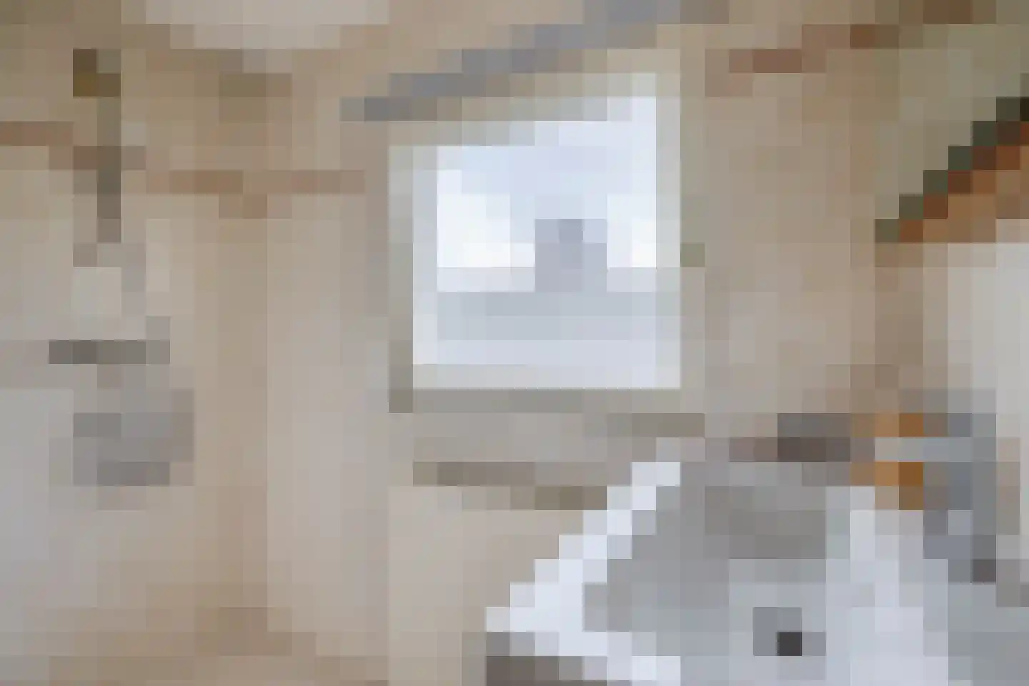 Niobepad 3 Eindhoven thumbnail 25