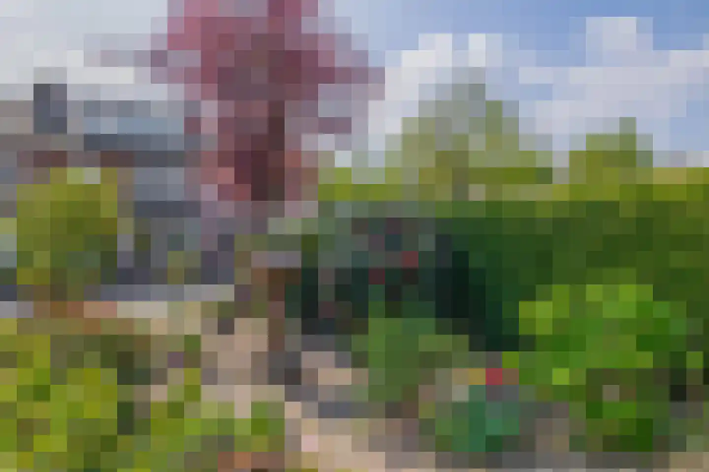 Niobepad 3 Eindhoven thumbnail 44