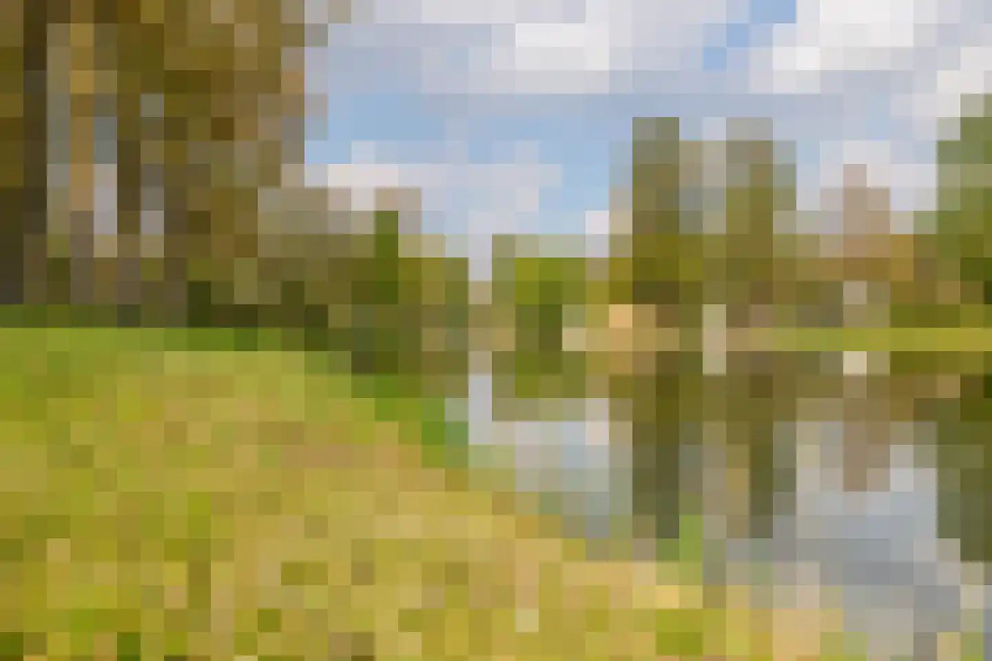 Niobepad 3 Eindhoven thumbnail 45