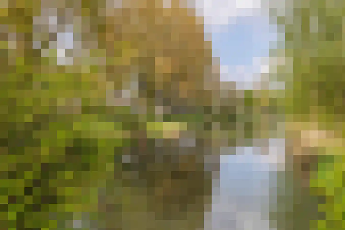Niobepad 3 Eindhoven thumbnail 46