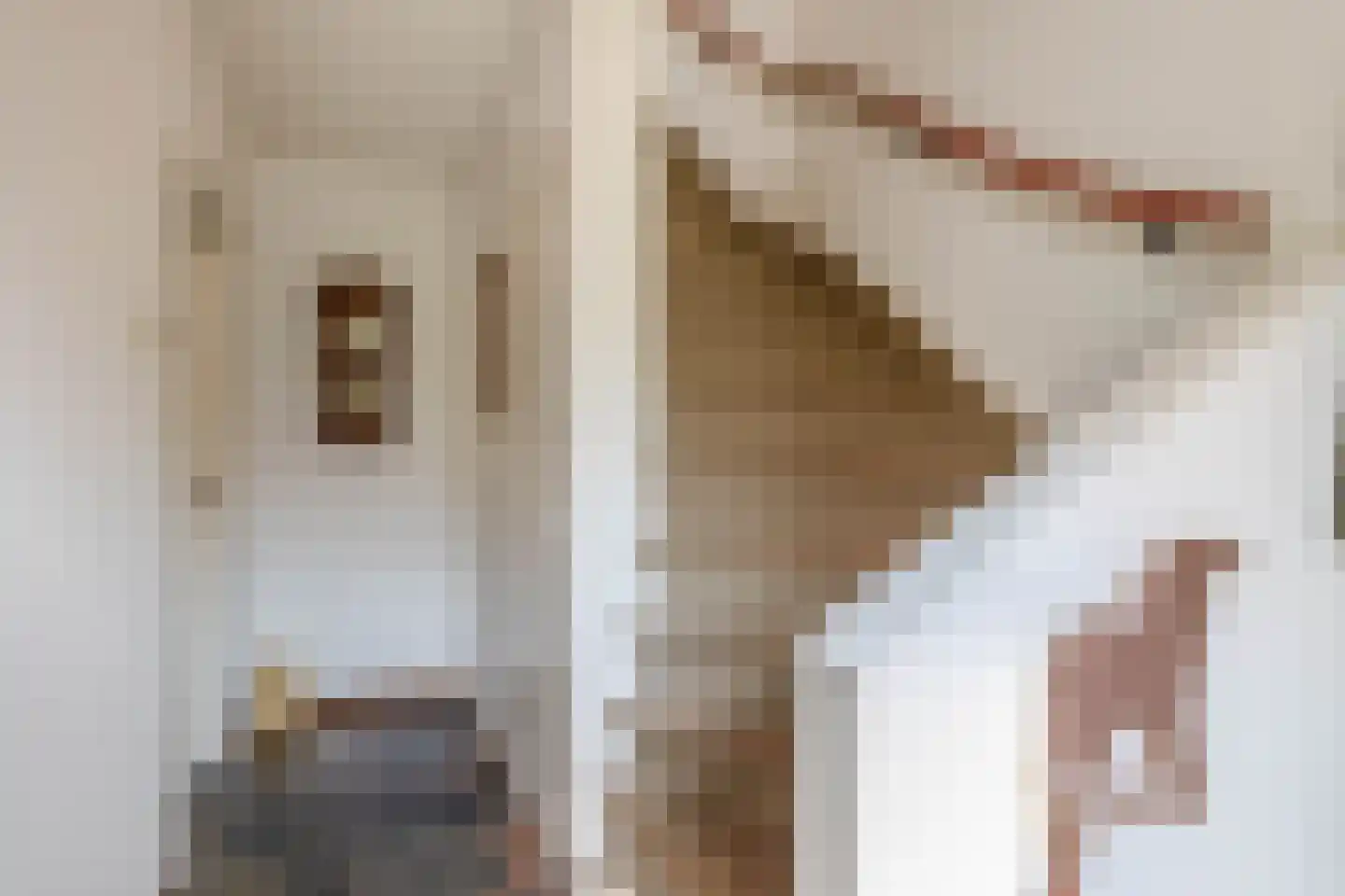 Niobepad 3 Eindhoven thumbnail 6