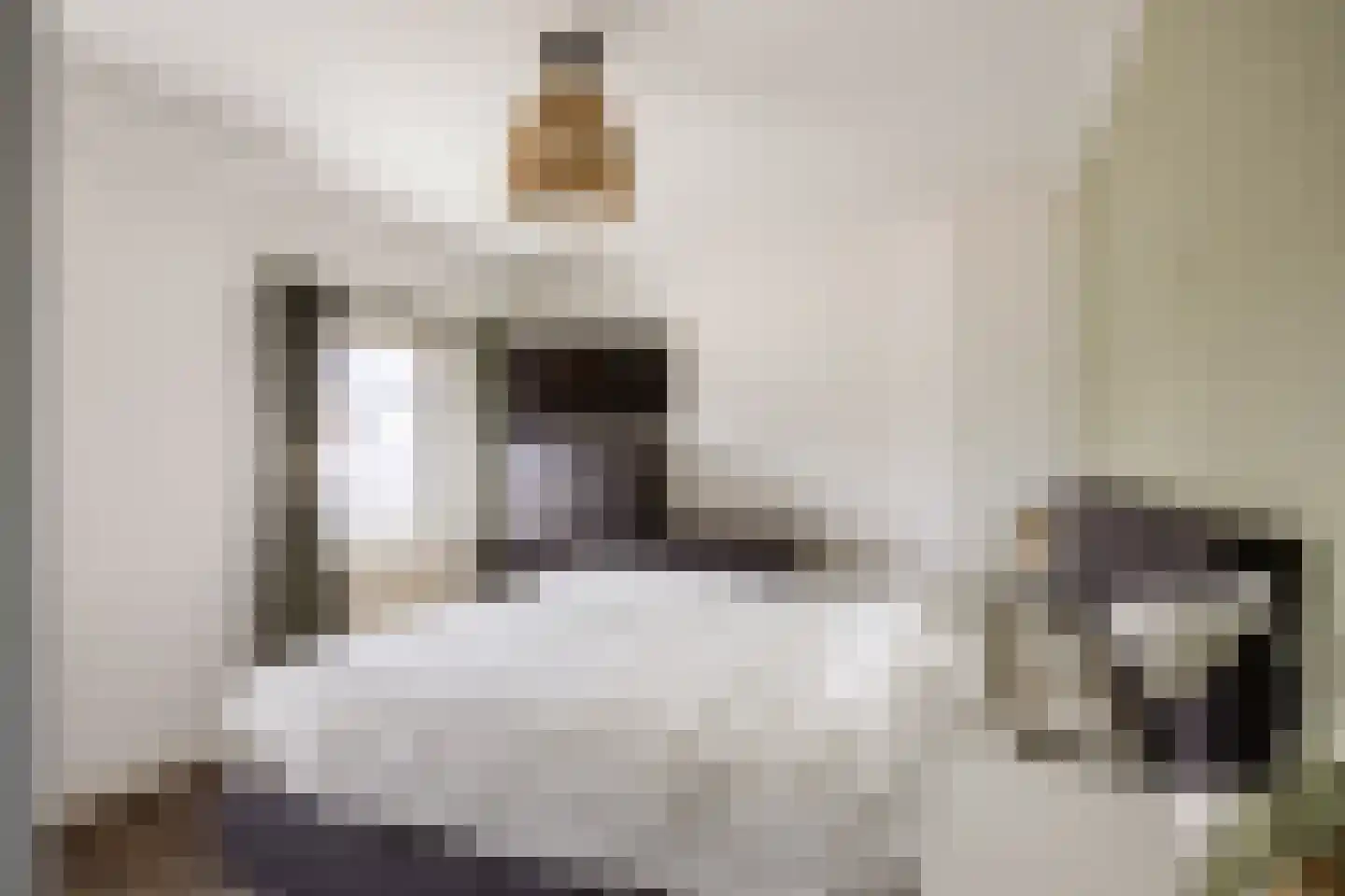 Nipperusstraat 19 Ulrum thumbnail 24
