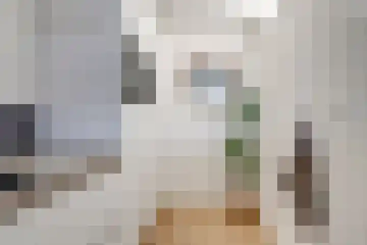 Nirrewortel 16 De Meern thumbnail 14