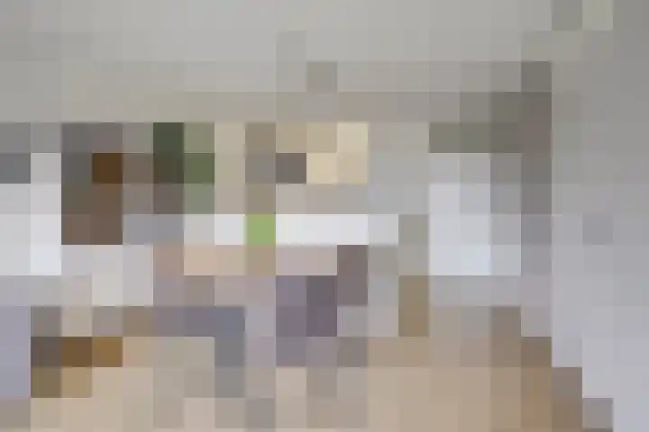 Nirrewortel 16 De Meern thumbnail 20