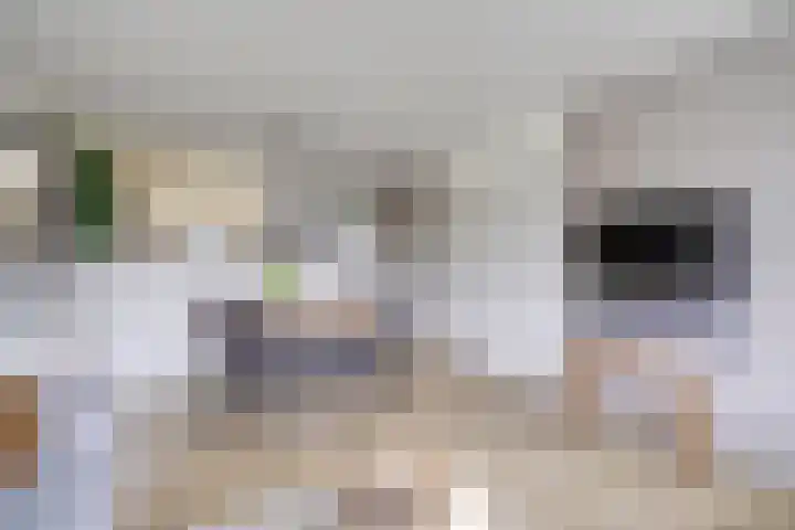 Nirrewortel 16 De Meern thumbnail 21