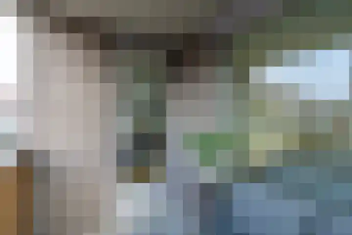 Nirrewortel 16 De Meern thumbnail 27