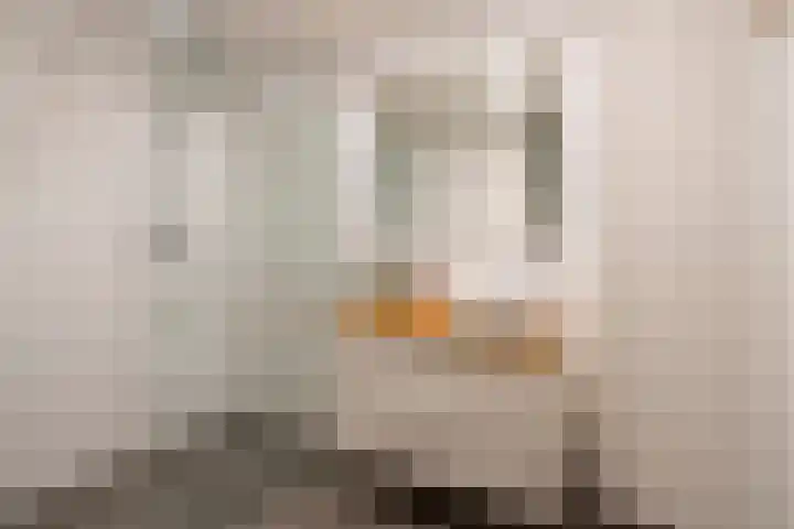Nirrewortel 16 De Meern thumbnail 42