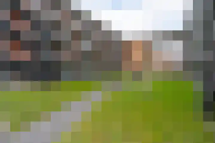 Nirrewortel 16 De Meern thumbnail 50