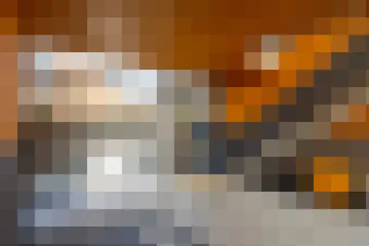 Nirrewortel 16 De Meern thumbnail 56