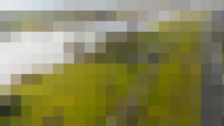 Nirrewortel 16 De Meern thumbnail 61