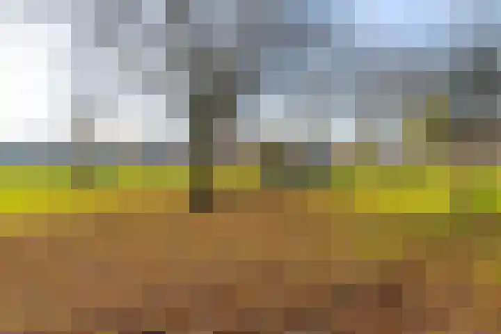 Nirrewortel 16 De Meern thumbnail 62