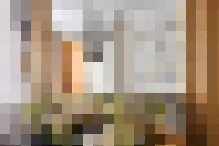 Nispensestraat 116 Roosendaal thumbnail 10