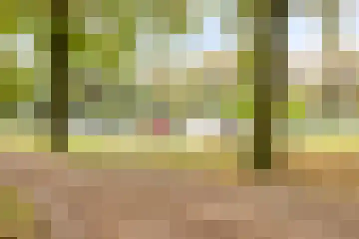 Nispensestraat 116 Roosendaal thumbnail 35