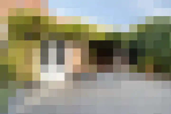 Nispensestraat 75 Roosendaal thumbnail 29