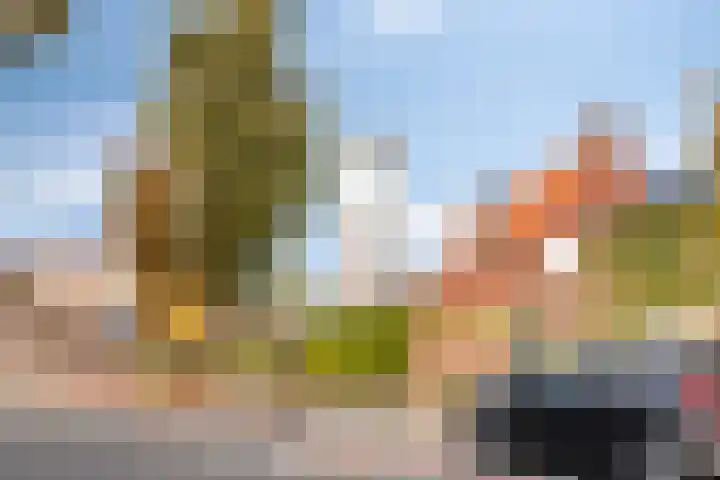 Nispensestraat 75 Roosendaal thumbnail 35