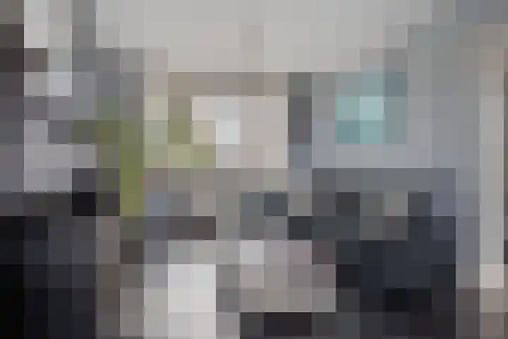 Nispensestraat 75 Roosendaal thumbnail 4