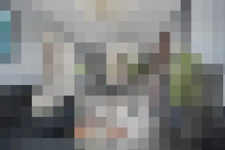 Nispensestraat 75 Roosendaal thumbnail 5
