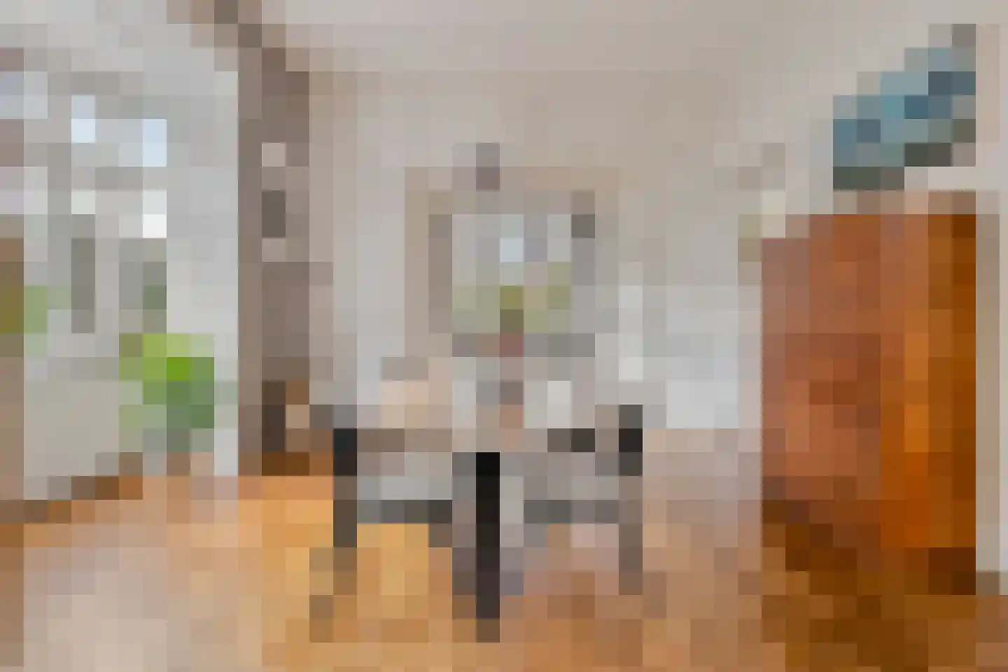 Nispensestraat 83 Roosendaal thumbnail 11