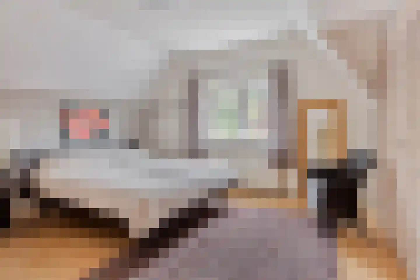 Nispensestraat 83 Roosendaal thumbnail 18