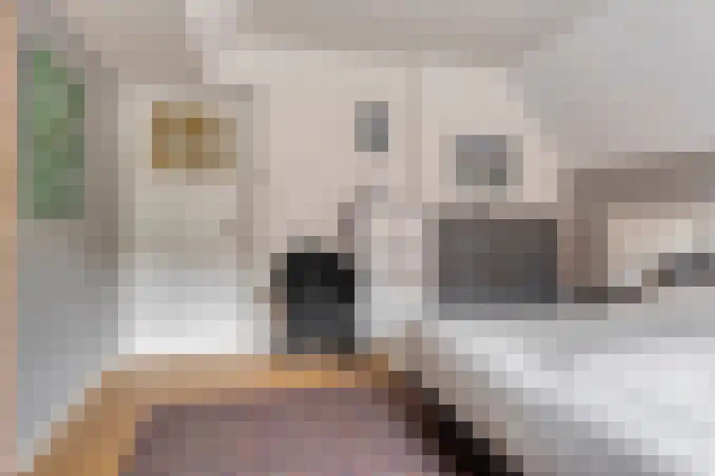 Nispensestraat 83 Roosendaal thumbnail 19
