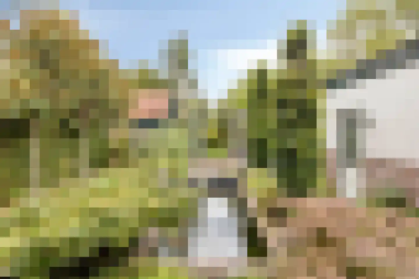 Nispensestraat 83 Roosendaal thumbnail 35