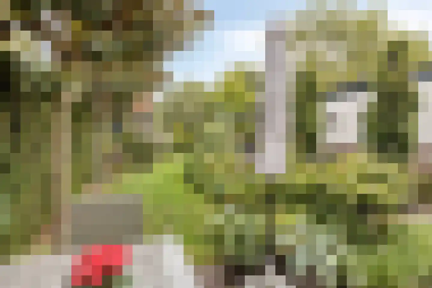 Nispensestraat 83 Roosendaal thumbnail 36