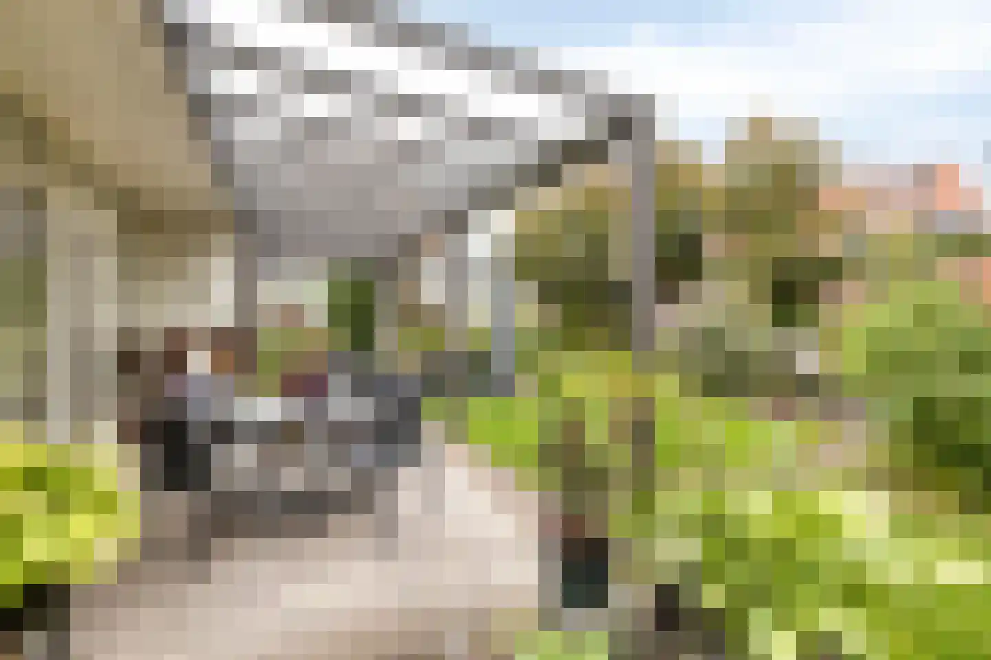 Nispensestraat 83 Roosendaal thumbnail 39