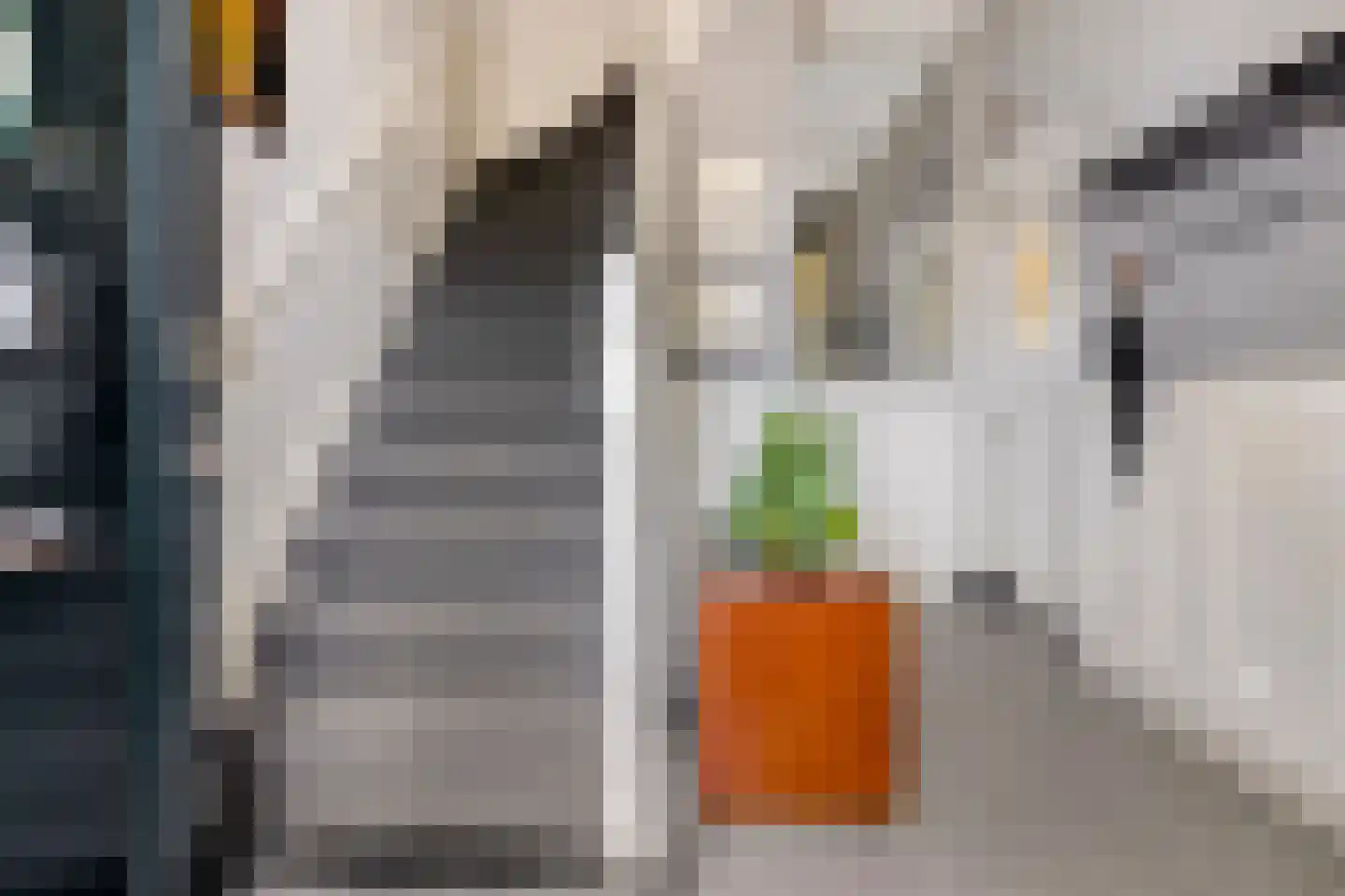 Nispensestraat 83 Roosendaal thumbnail 5