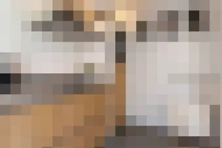 Nissestelle 12 Ovezande thumbnail 11