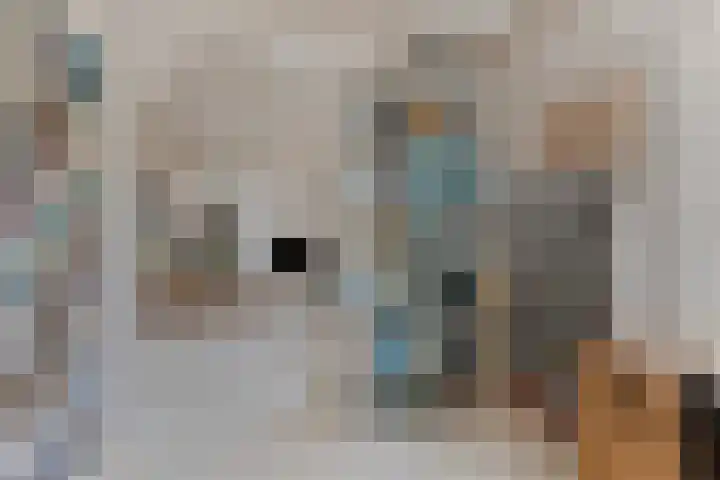 Nissestelle 12 Ovezande thumbnail 12