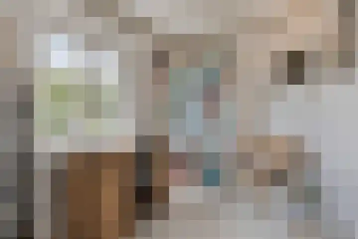 Nissestelle 12 Ovezande thumbnail 13