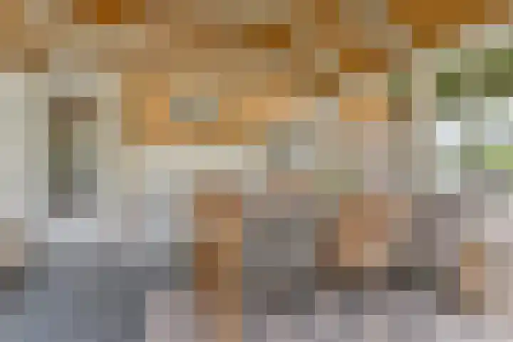 Nissestelle 12 Ovezande thumbnail 14