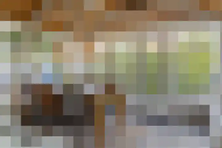 Nissestelle 12 Ovezande thumbnail 15