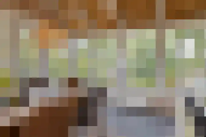 Nissestelle 12 Ovezande thumbnail 16