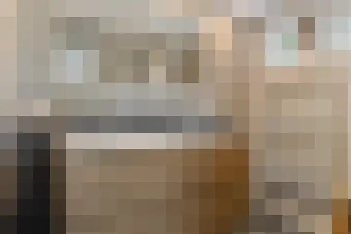 Nissestelle 12 Ovezande thumbnail 17