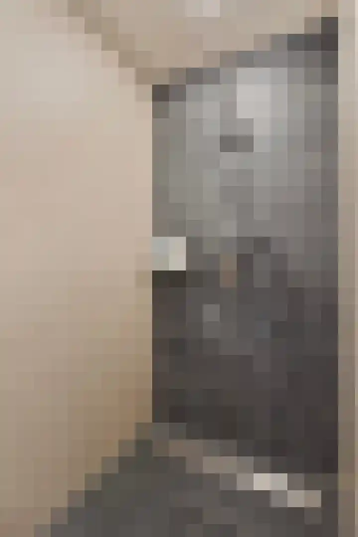 Nissestelle 12 Ovezande thumbnail 18