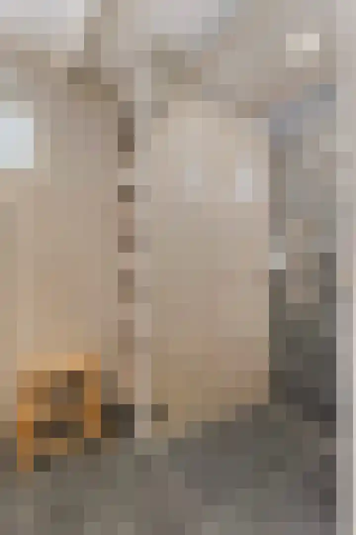 Nissestelle 12 Ovezande thumbnail 19