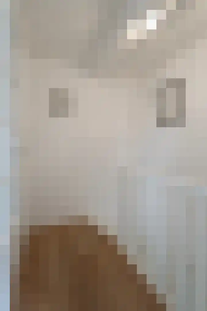 Nissestelle 12 Ovezande thumbnail 23