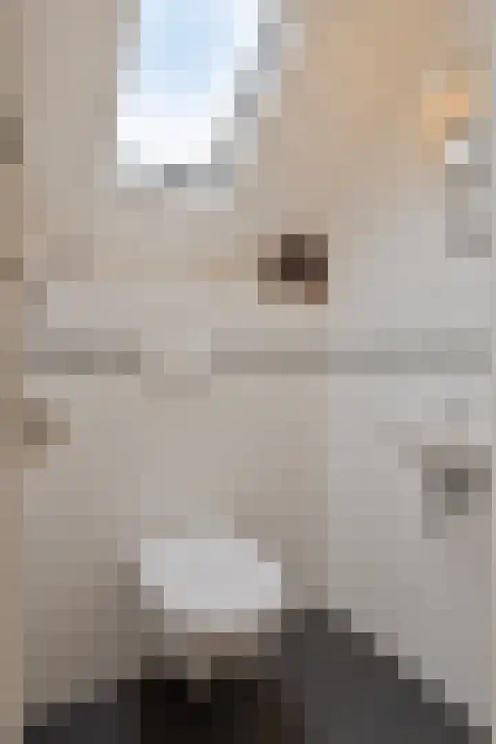 Nissestelle 12 Ovezande thumbnail 24