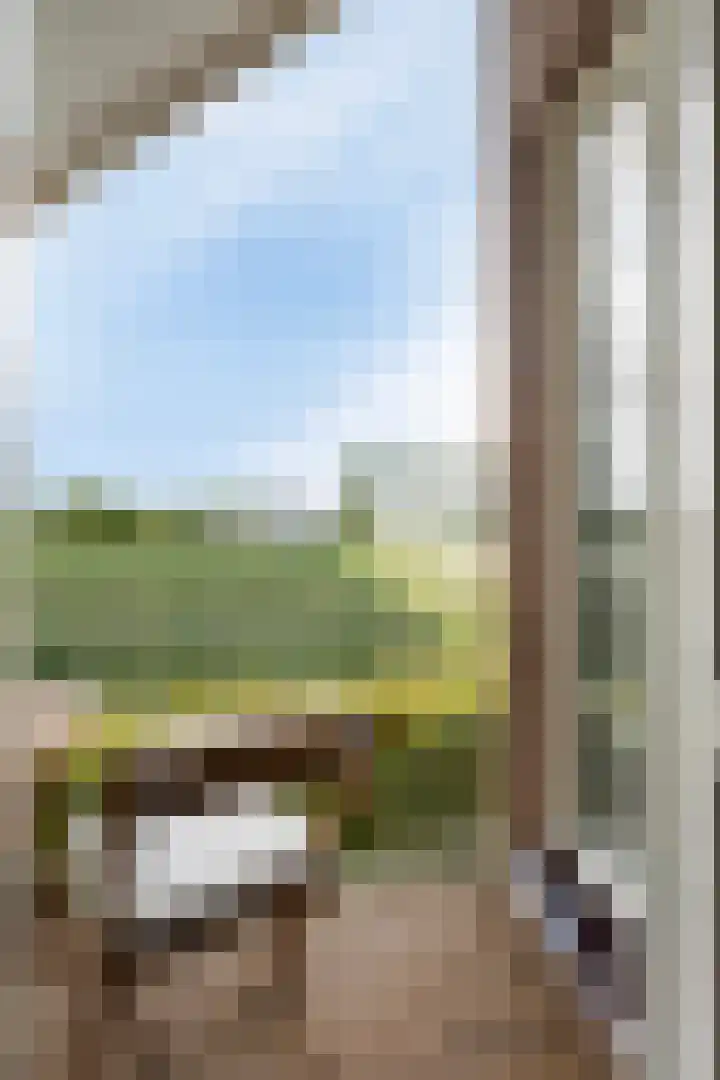 Nissestelle 12 Ovezande thumbnail 27