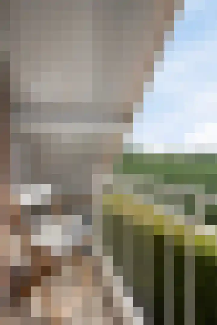 Nissestelle 12 Ovezande thumbnail 28