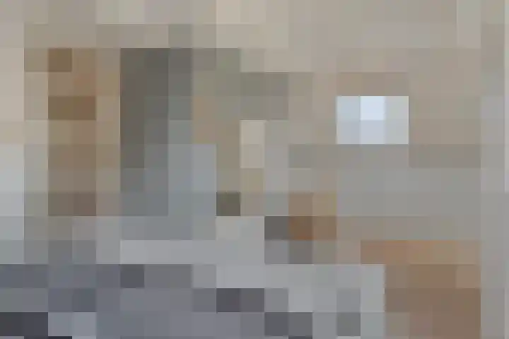 Nissestelle 12 Ovezande thumbnail 29