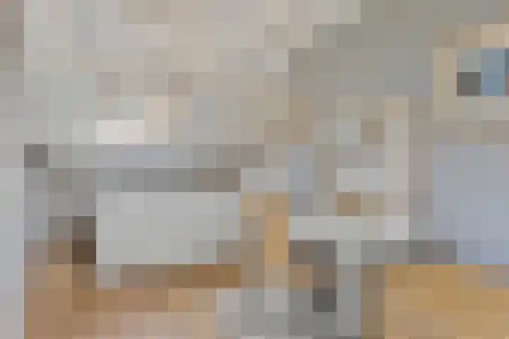 Nissestelle 12 Ovezande thumbnail 30