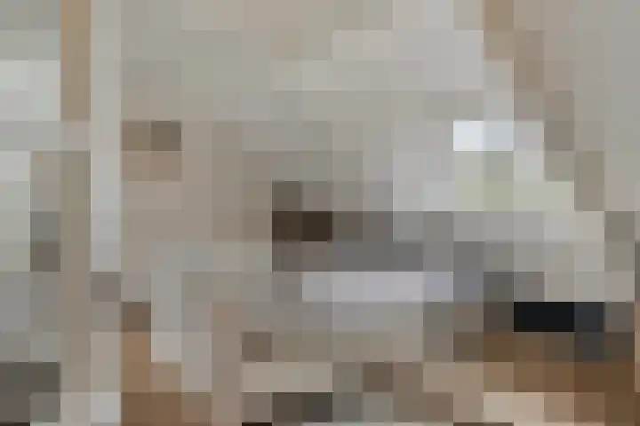 Nissestelle 12 Ovezande thumbnail 31