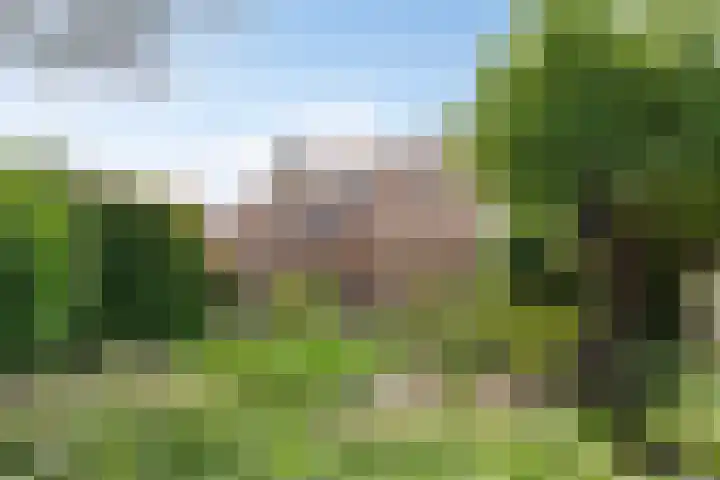 Nissestelle 12 Ovezande thumbnail 34