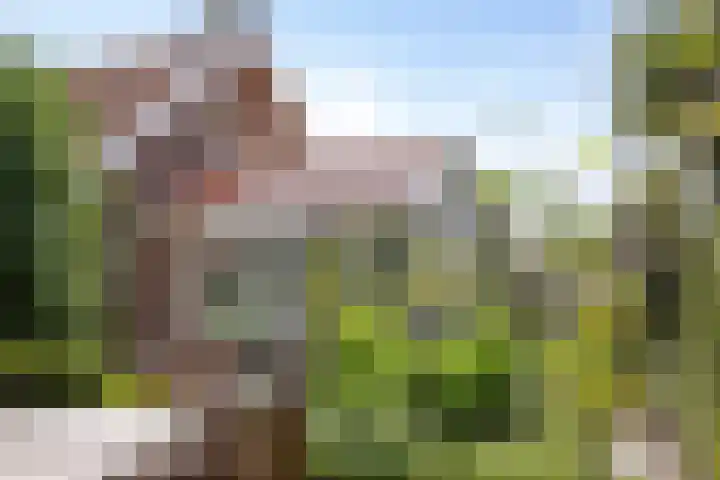 Nissestelle 12 Ovezande thumbnail 35