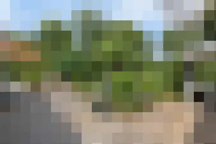 Nissestelle 12 Ovezande thumbnail 36